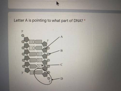 Letter A is pointing to what part of DNA?