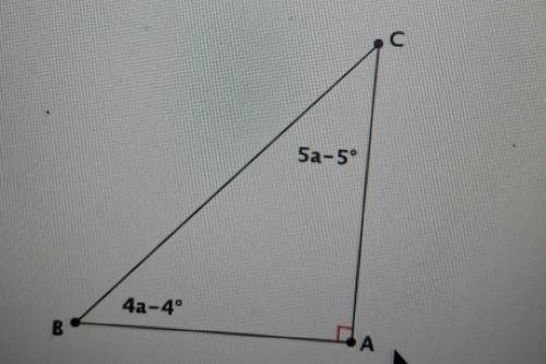 Find the measure of each angle