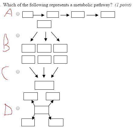 (50 points ) Which of the following represents a metabolic pathway?