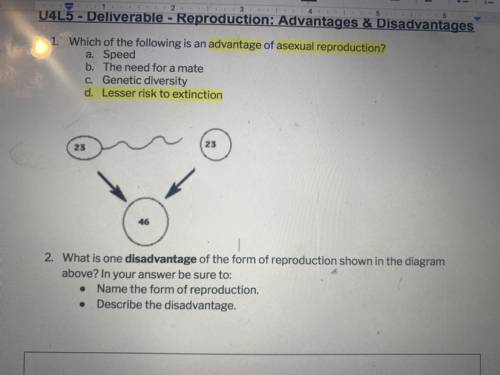 Can someone please help me for questions 2