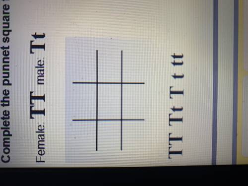 Complete the punnet square for the following cross-pollination. 
Female: TT Male: Tt