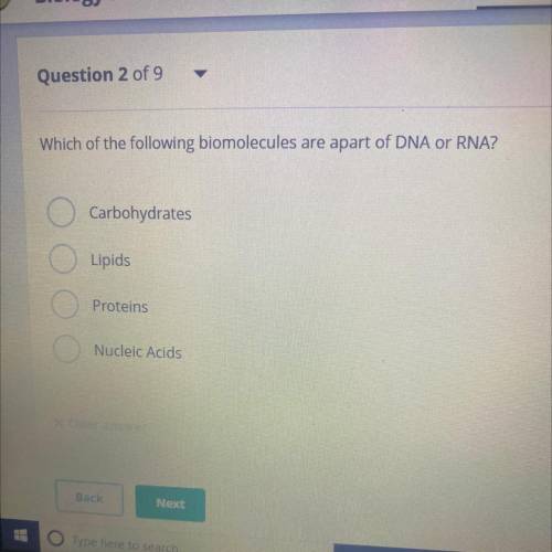 Which of the following biomolecules are apart of DNA or RNA?

Carbohydrates
Lipids
Proteins
Nuclei