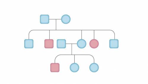 What is the type of inheritance shown in the following pedigree? Blue represents no disease symptom