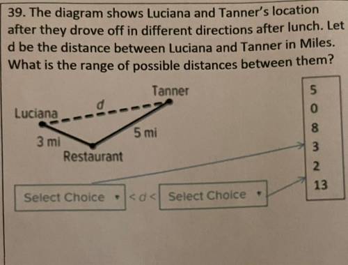 39. The diagram shows Luciana and Tanner's location

after they drove off in different directions