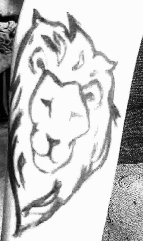 This is when I drew this lion on my brother's hand....loll rate this 1-10