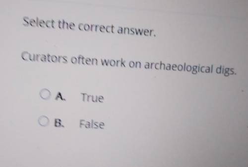 Select the correct answer, Curators often work on archaeological digs A. True