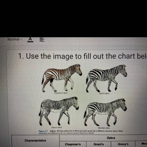 I will mark you as brainliest!! How many species of zebra are there and why?