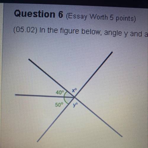 In the figure below, angle y and angle x form vertical angles. Angle x forms a straight line with t