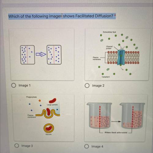Which of the following images shows Facilitated Diffusion? *