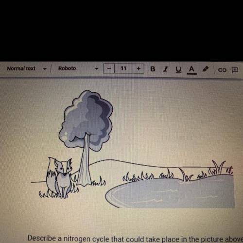 Describe a nitrogen cycle that could take place in the picture above. Describe how nitrogen

could