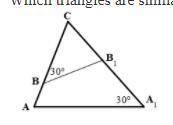 Solve the following problem:
Which triangles are similar? Which sides are proportional?