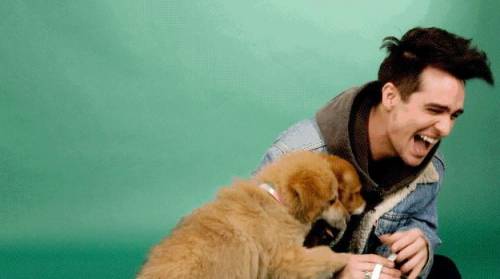 If ur feeling sad, here's brendon urie with puppies. the ultimate cure for sadness.