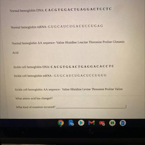 Need Help with the last two questions on mutations! Will give brainlist!