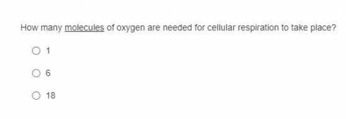 How many molecules of oxygen are needed for cellular respiration to take place?