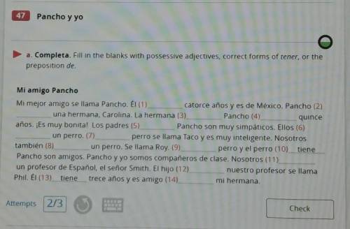 Can anyone that is a master, no a legend at spanish help me I need this to be all right answers ple