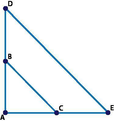 I WILL GIVE BRAIN

if angle A is congruent to itself by the Reflexive Property, which transformati