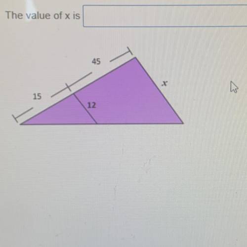 Please help me this is geometry i need the value of x