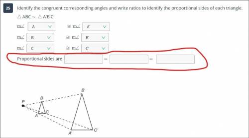 I need help with a question with Proportional Sides
