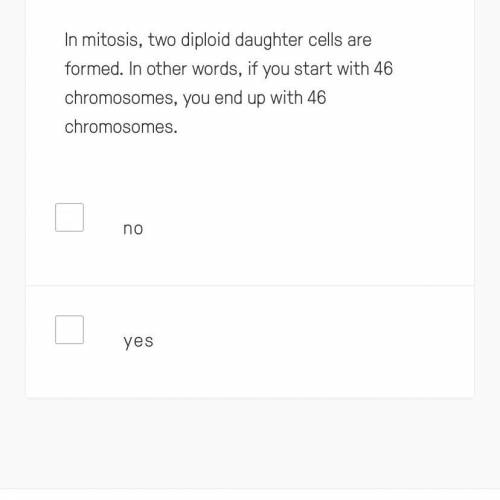 In mitosis, two diploid daughter cells are formed. In other words, if you start with 46 chromosomes