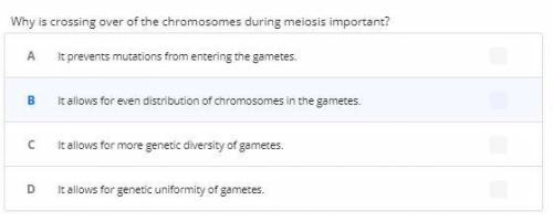 Why is crossing over of the chromosomes during meiosis important?