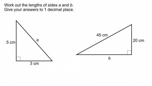 Sides a and b. do it correct please. mark you brainliest. need help. humanity