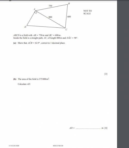 How do I solve this and please thoroughly explain the steps, please?
