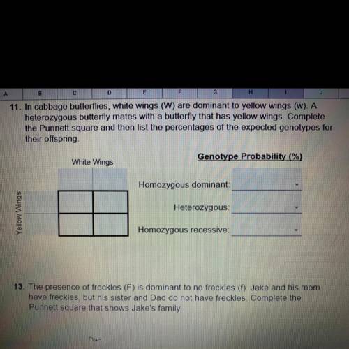 Number 11 please help IF YOU GET THE ANSWER RIGHT I WILL GIVE YOU free 25 points