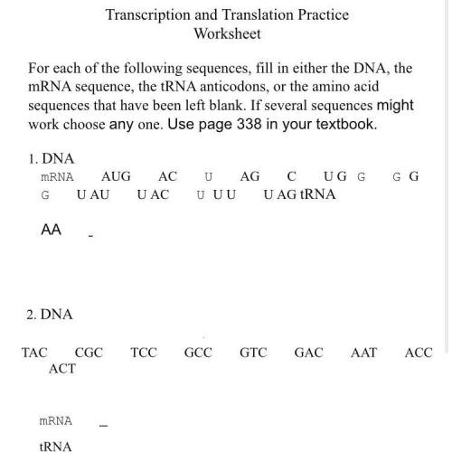 Transcription and translation practice worksheet-1 (1)