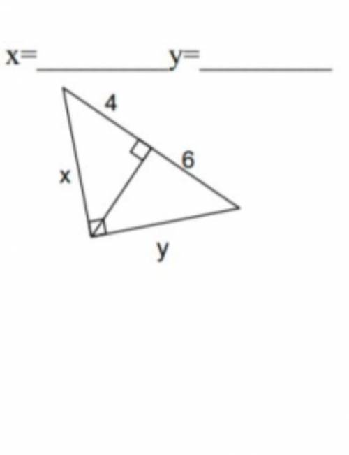 What is the solution to x?