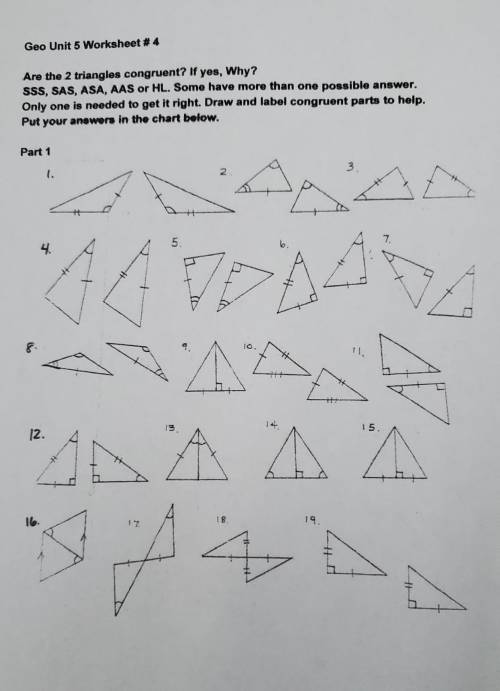 Please help 20 points geometry triangle questions