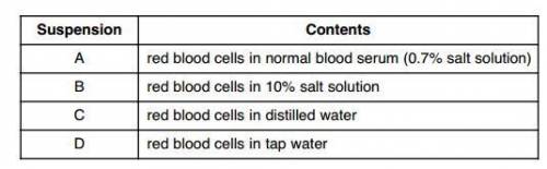 A student prepared four different red blood cell suspensions, as shown in the chart below. The chan