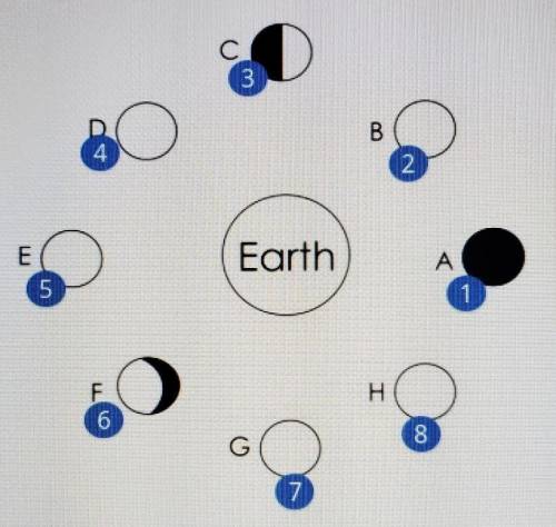 SOMEONE HELP JUST PUT THE MOON PHASES PLEASE help!