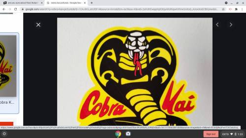 WHO HAS SEEN THE NEW NETFLIX SHOW

COBRA KAI CAUSE I HAVE SEEN IT AND I
THOUGHT YALL HAVE SEEN IT