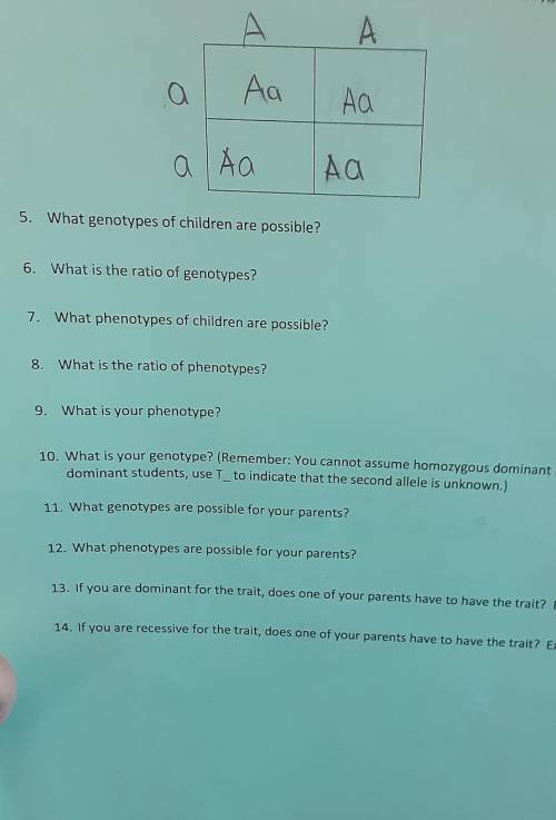 Plz help be with these questions put the nunber qnd then the answer
