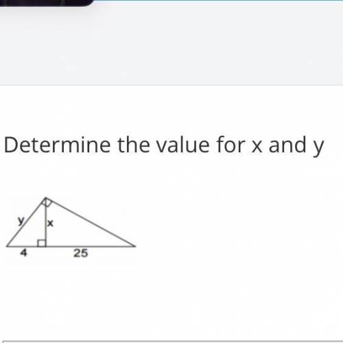 Determine the value for x and y
I’ll give brainliest