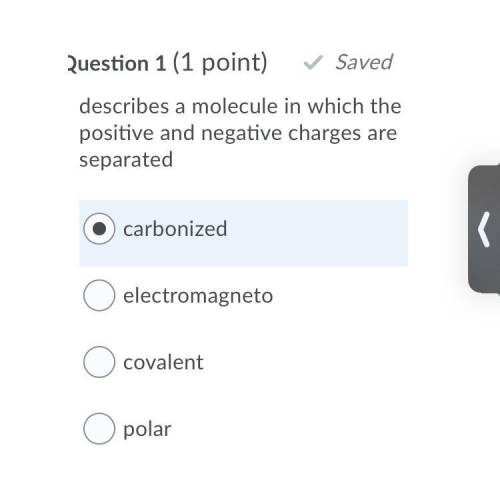 Describes a molecule in which the positive and negative charges are separated

HELP ME PLEASE !!