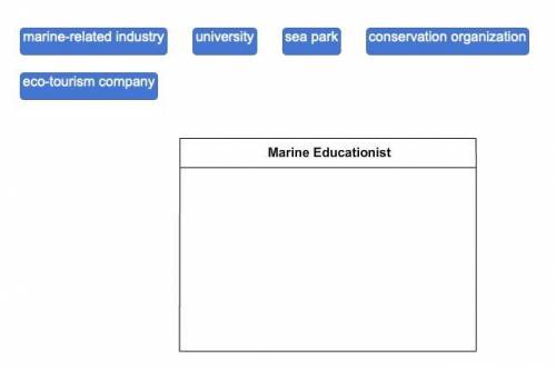Drag each label to the correct location on the image.

Identify the organizations in which a marin