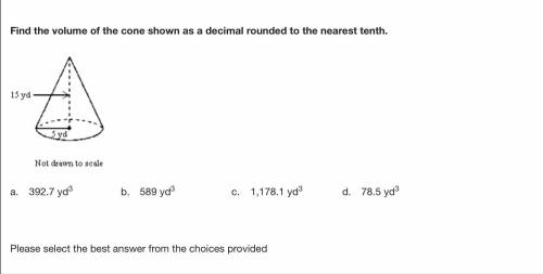 Find the volume of the cone shown as a decimal rounded to the nearest tenth.