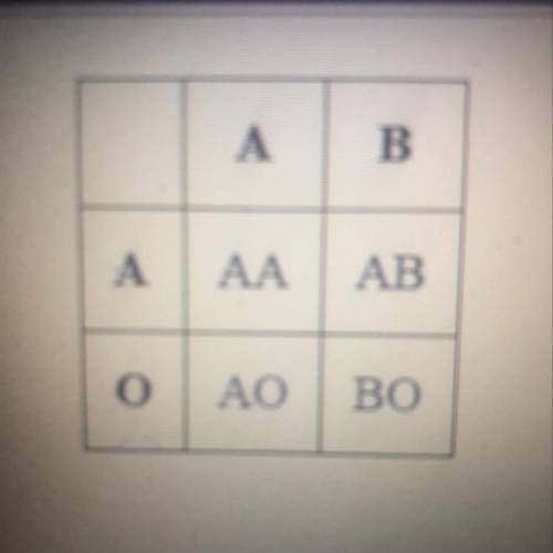 What is the genotypic ratio for this Punnett square?
3:1
02:2
O 1:2:1
O 1:1:1:1