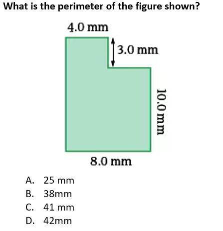 What is the perimeter (please explain your answer)