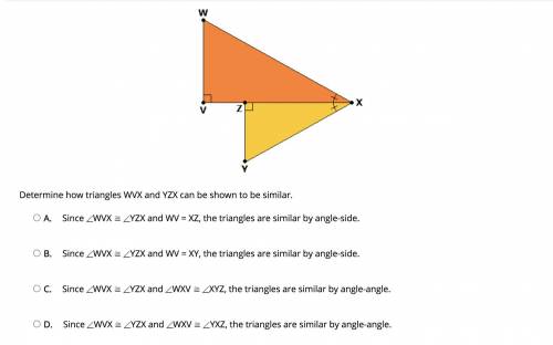 Determine how triangles WVX and YZX can be shown to be similar.