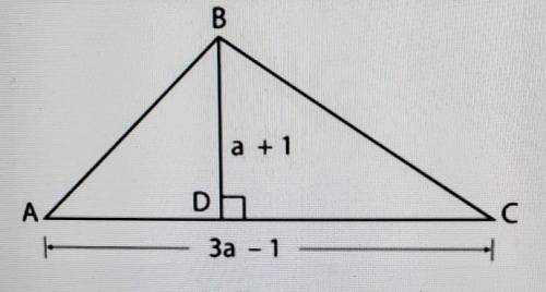 What is the area of the triangle with the given dimensions shown below?

 A. 3a² + 2a - 1 B. 3a² +