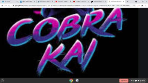 Who Likes Cobra Kai Answer PLEASE 
Cobra Kai NEVER DIES