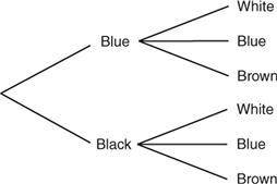 The diagram below shows that Stan has two pairs of jeans (one blue and one black) and three shirts