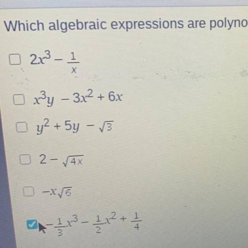 PLEASE HELP AND EXPLAIN Which algebraic expressions are polynomials? Check all that apply.

see in
