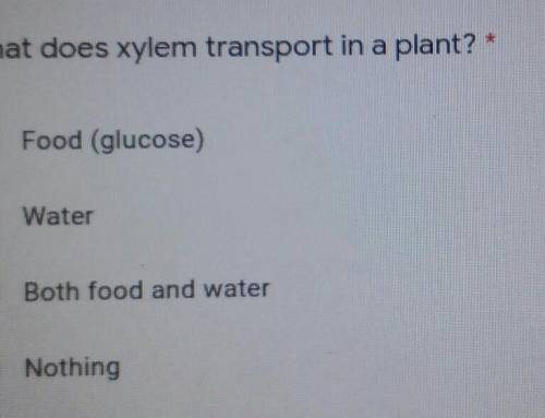 At does xylem transport in a plant? Food (glucose) Water Both food and water Nothing

help asap th