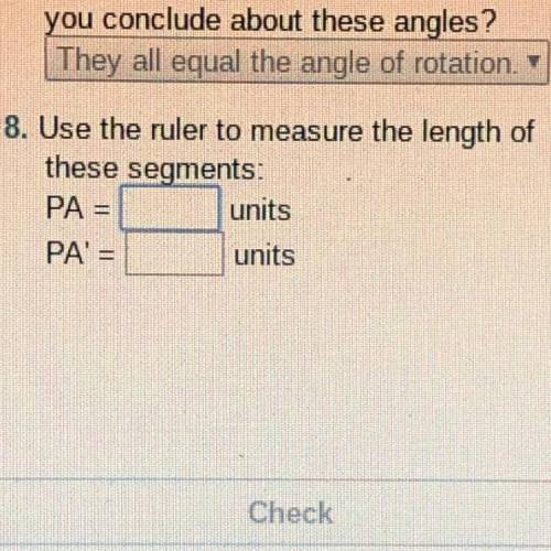 8. Use the ruler to measure the length of

these segments:
PA =
units
PA' =
units
Help!!!