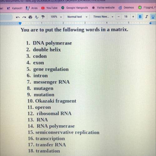 Can someone just tell me what a matrix is :3