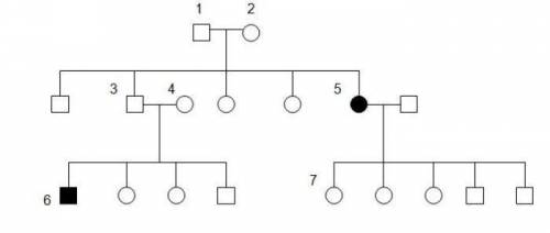 1. In the pedigree below write the genotypes of the individuals who are labeled with numbers, using