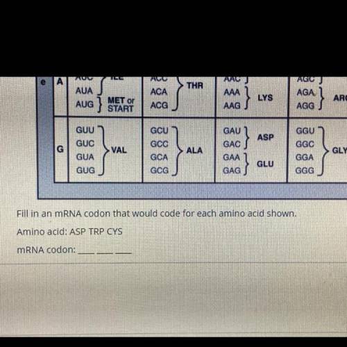 Fill in an mRNA codon that would code for each amino acid shown.

Amino acid: ASP TRP CYS
mRNA cod